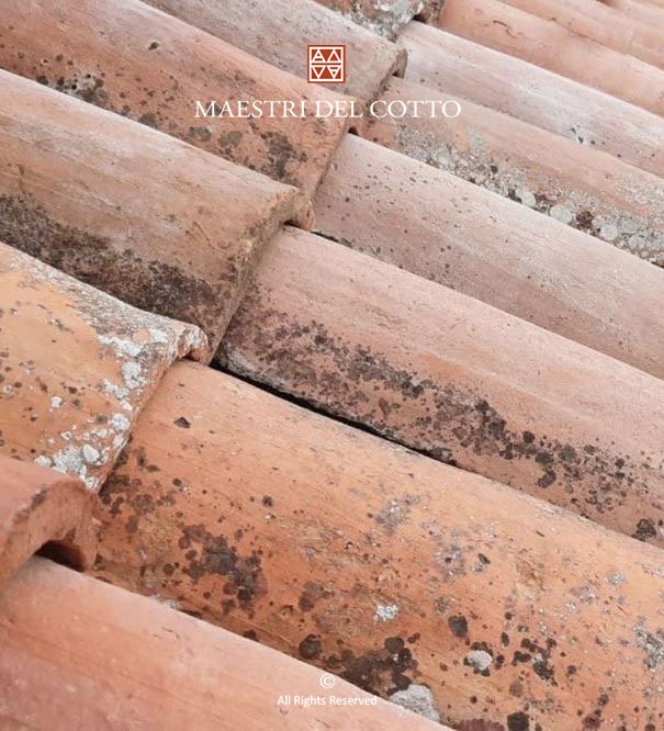 Coppi antichi di recupero